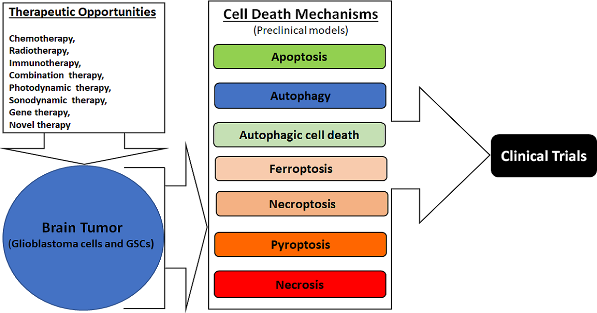 Graphical abstract